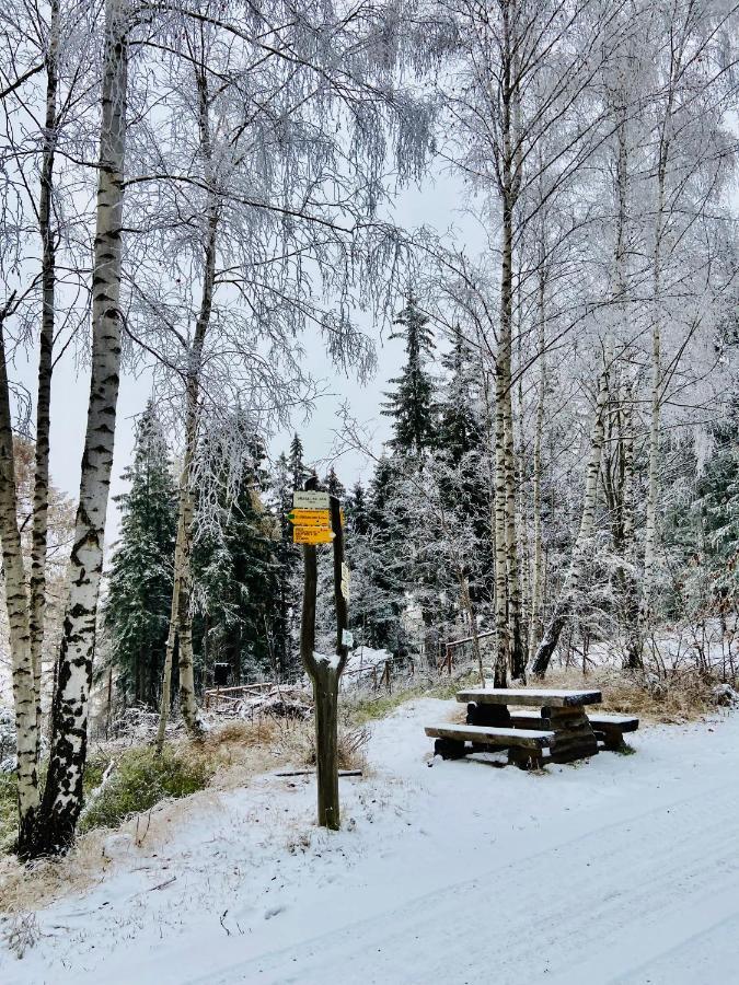 Utulny Apartman V Srdci Krkonos Se Saunou Jablonec nad Jizerou Dış mekan fotoğraf